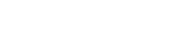 Bellwether Group